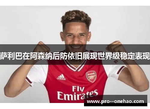 萨利巴在阿森纳后防依旧展现世界级稳定表现