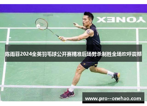 陈雨菲2024全英羽毛球公开赛精准后场劈杀制胜全场欢呼震撼