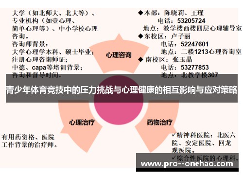 青少年体育竞技中的压力挑战与心理健康的相互影响与应对策略