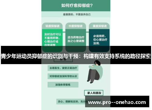 青少年运动员抑郁症的识别与干预：构建有效支持系统的路径探索