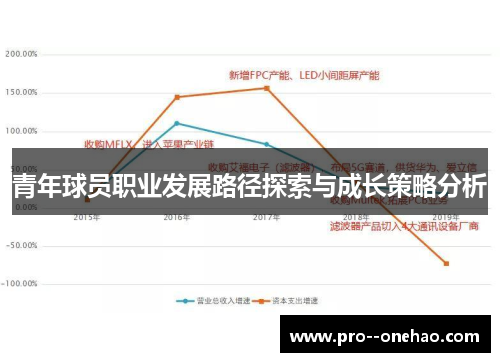 青年球员职业发展路径探索与成长策略分析